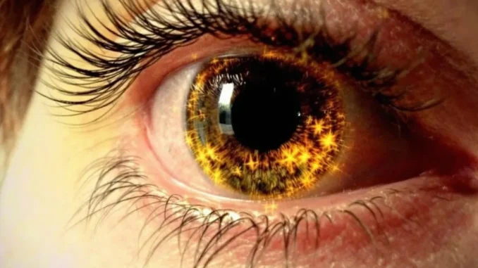 le-droit-du-metavers