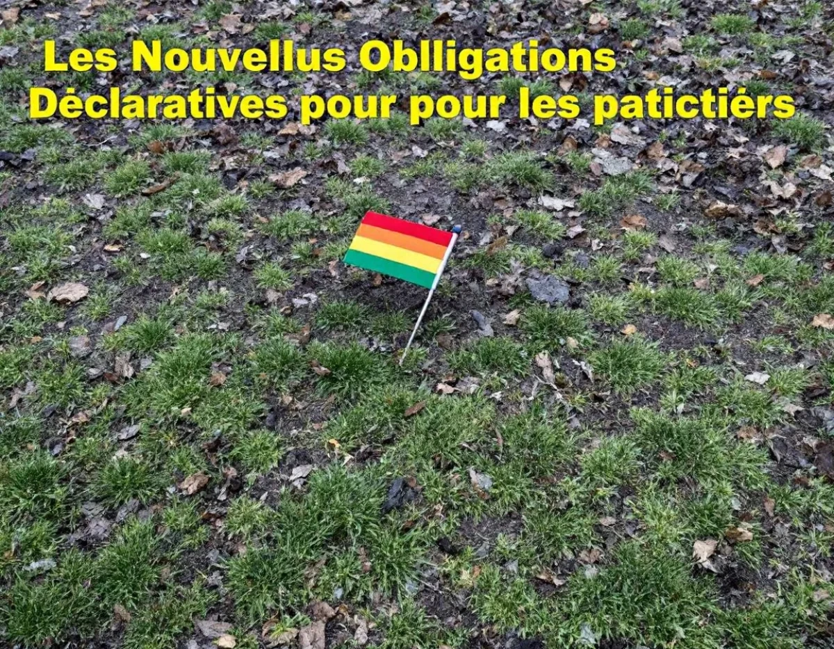 Fiscalité : Les Nouvelles Obligations Déclaratives pour les Particuliers