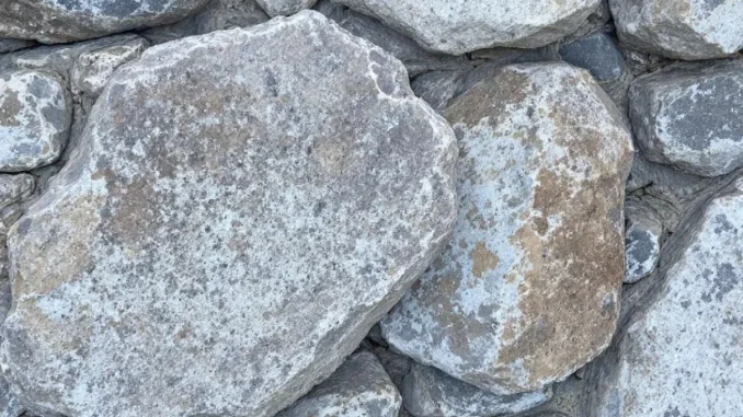 negociation-de-baux-1-1