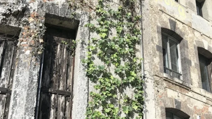 permis-de-construire